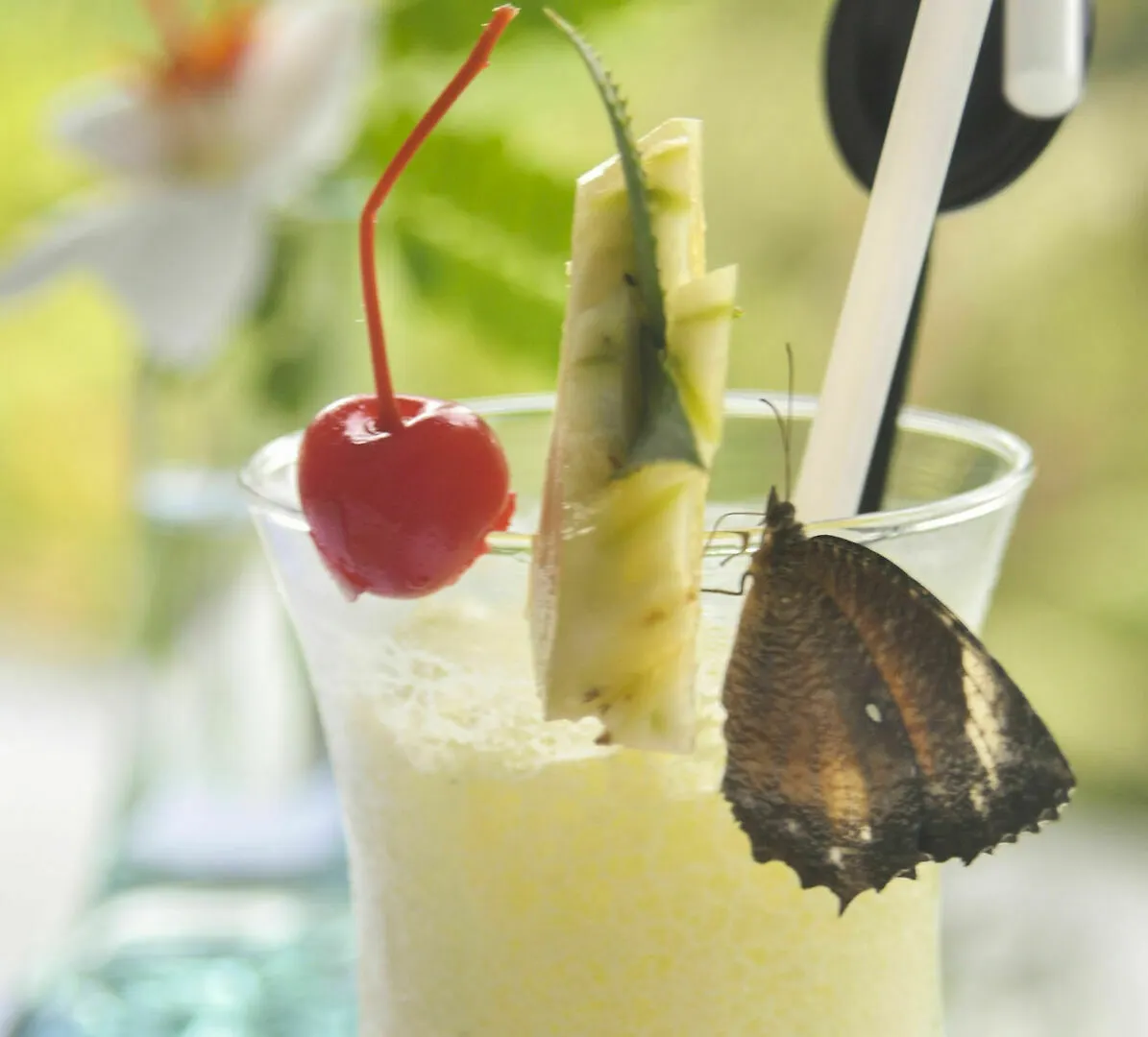 Amora Ubud Villas Hotel